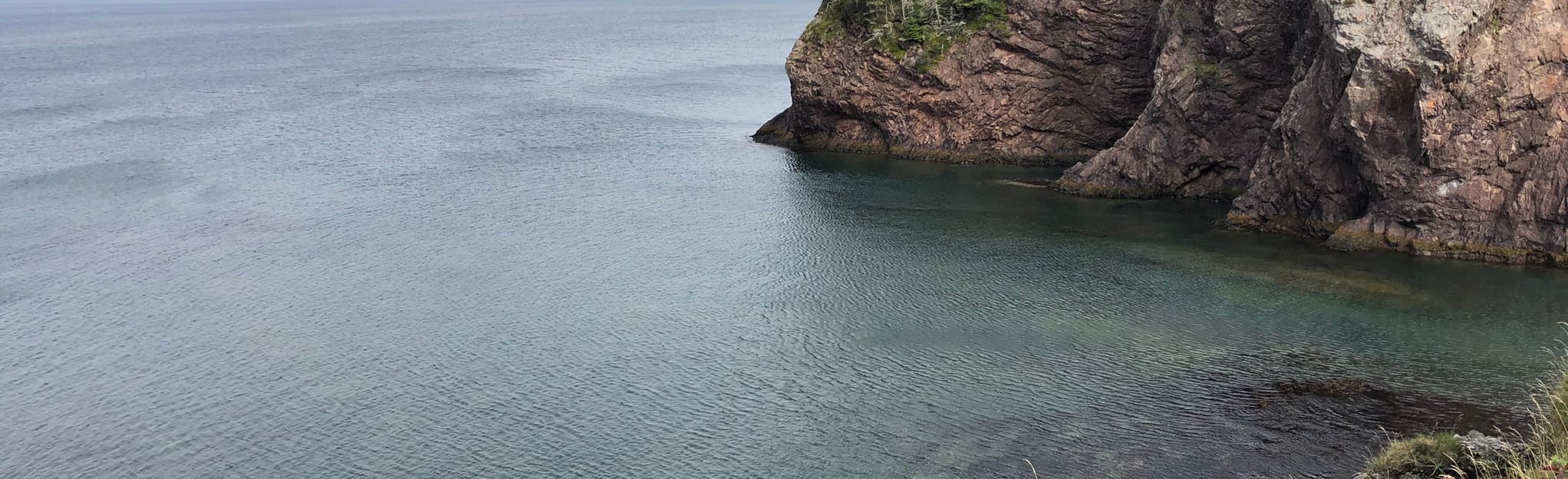 Chance Cove Seaside, Newfoundland and Labrador, Canada 60 Reviews