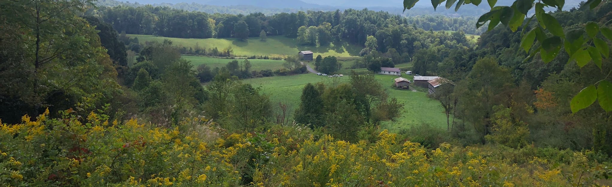Bailey Mountain Summit via Richard L Hoffman Trail, North Carolina
