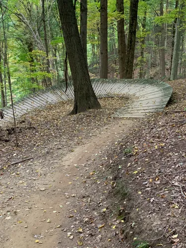 Best Hikes and Trails in Hampton Hills Mountain Bike Area AllTrails