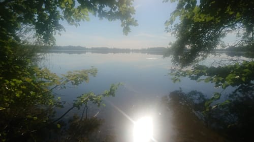 Goldberger See und Langsee Rundweg