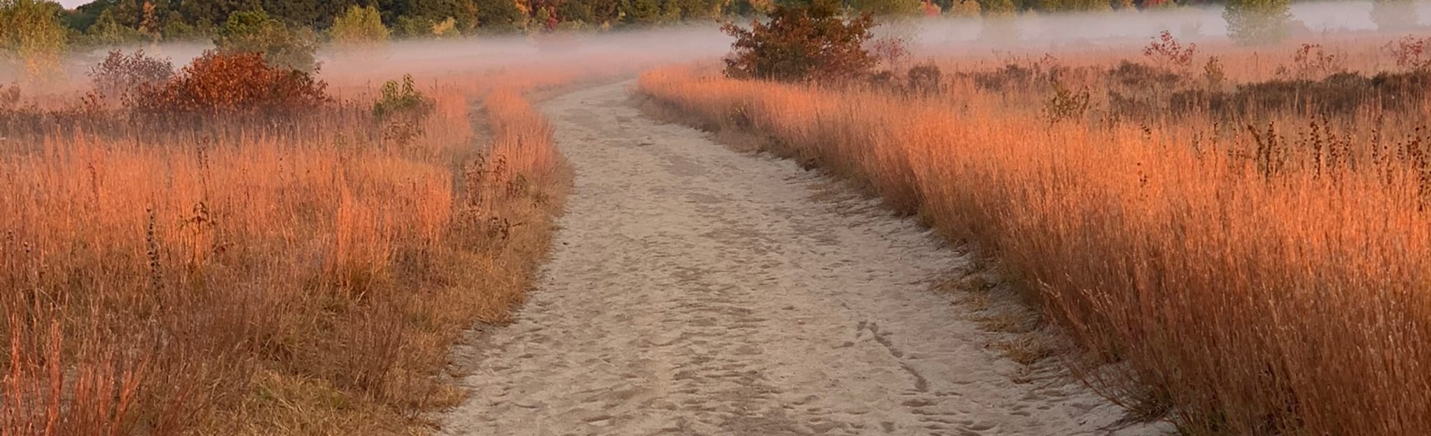 Kennebunk Plains Loop 70 fotos Maine AllTrails