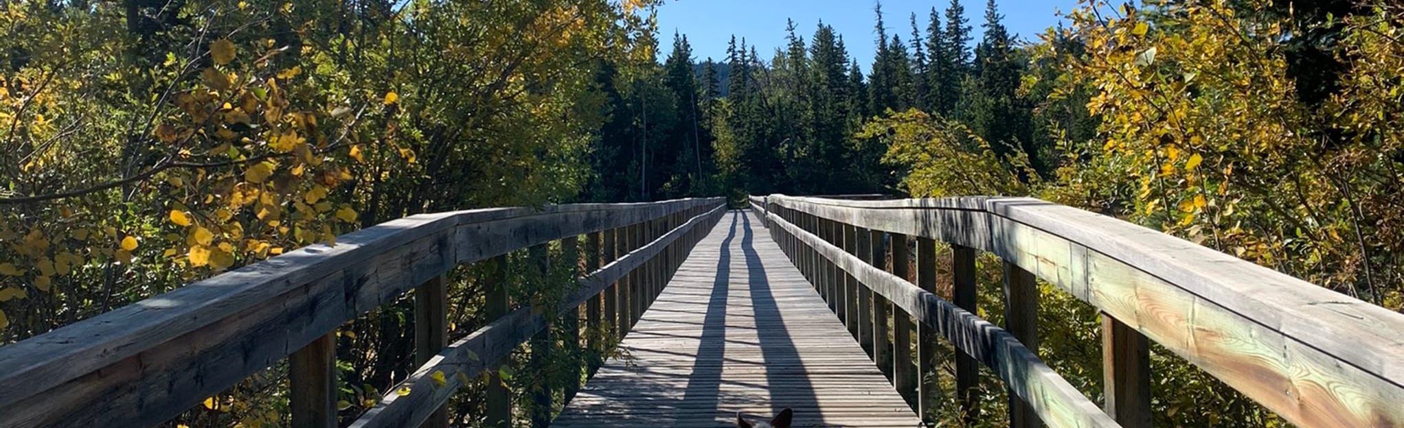 Chipman Creek and Scotts Point Trail, Alberta, Canada 62 Reviews, Map