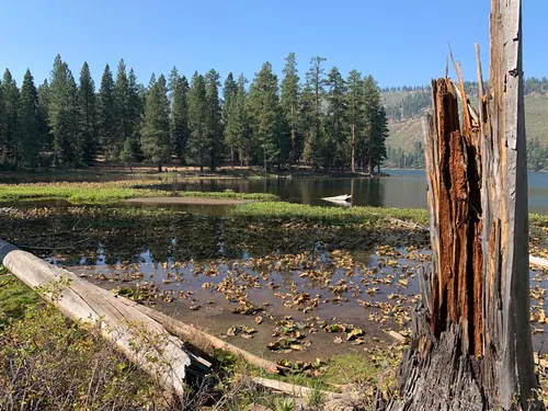 Best Forest Trails in Modoc National Forest | AllTrails
