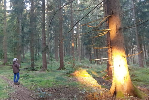 Rund um den Kornberg