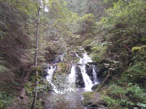 Rötenbachschlucht (Genießerpfad)