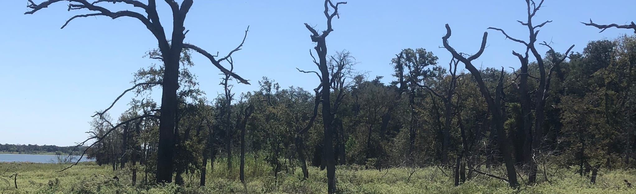 Lake Somerville Birch Creek Unit, Texas 127 Reviews, Map AllTrails