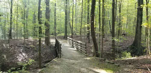 10 Best Hikes and Trails in Cuyahoga - EyJidWNrZXQiOiJhc3NldHMuYWxsdHJhaWxzLmNvbSIsImtleSI6InVwbG9hZHMvcGhvdG8vaW1hZ2UvMzAwODY0NTQvMDU2NjIyNDc0YjkzN2IwYzE0ZGJjN2I3YTIyNGQzZmYuanBnIiwiZWRpdHMiOnsidG9Gb3JtYXQiOiJ3ZWJwIiwicmVzaXplIjp7IndpZHRoIjo1MDAsImhlaWdodCI6NTAwLCJmaXQiOiJpbnNpZGUifSwicm90YXRlIjpudWxsLCJqcGVnIjp7InRyZWxsaXNRdWFudGlzYXRpb24iOnRydWUsIm92ZXJzaG9vdERlcmluZ2luZyI6dHJ1ZSwib3B0aW1pc2VTY2FucyI6dHJ1ZSwicXVhbnRpc2F0aW9uVGFibGUiOjN9fX0=