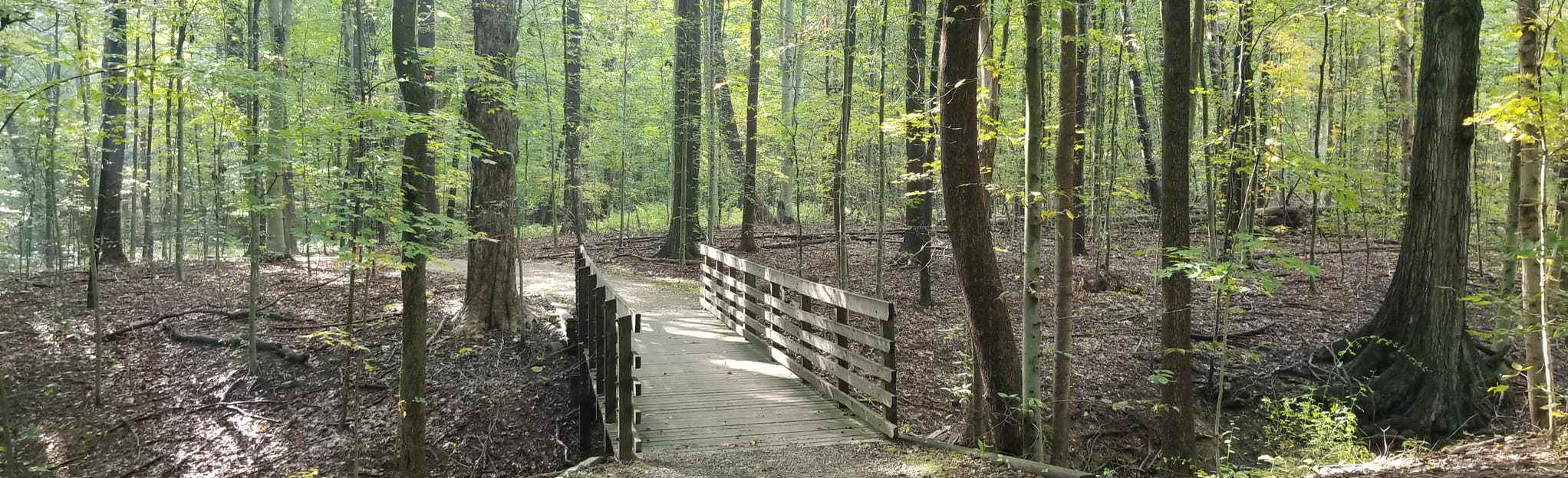 Plateau Trail, Ohio 3,131 Reviews, Map AllTrails