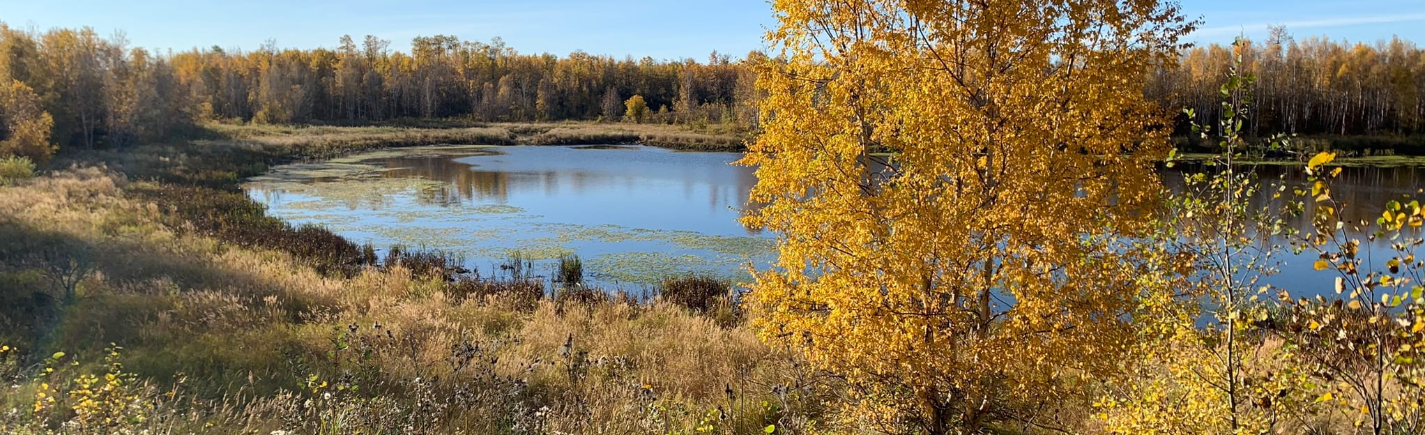 Blackfoot and Central Alleyway Trail Loop 50 foto's Alberta, Canada