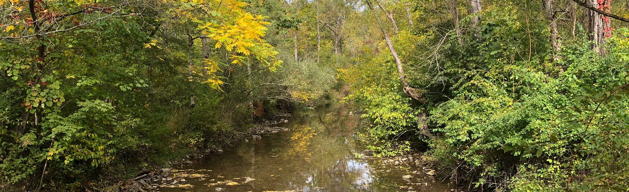 Canoe Lake and Beaver Pond Trail Loop 165 Reviews, Map Pennsylvania