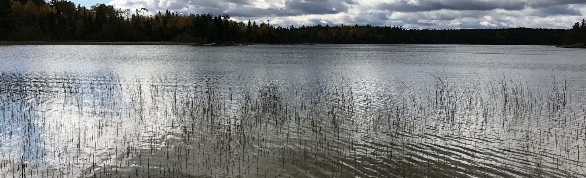 Norway Trail to Pine Creek 20 Photos Minnesota AllTrails