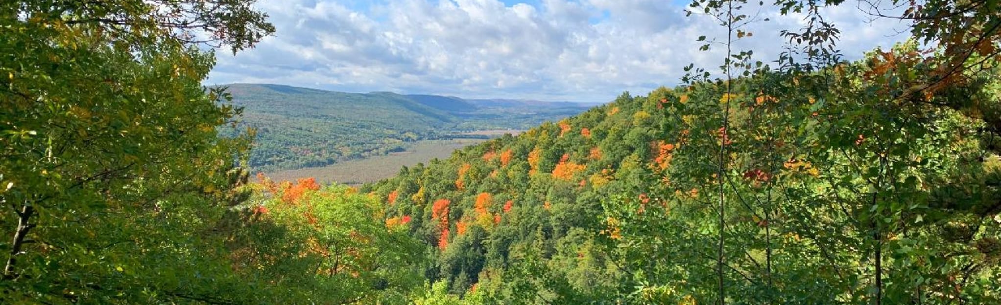 Clarks Gully from Sunnyside Road, New York - 152 Reviews, Map | AllTrails