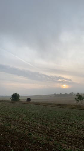 Alzeyer Mühlenweg