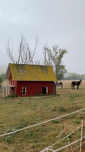 Alzeyer Mühlenweg