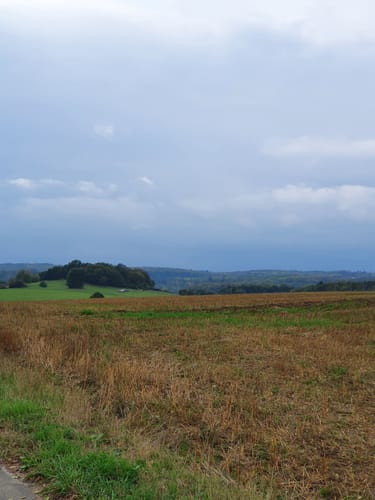 Vielbach Mogendorf Rundweg