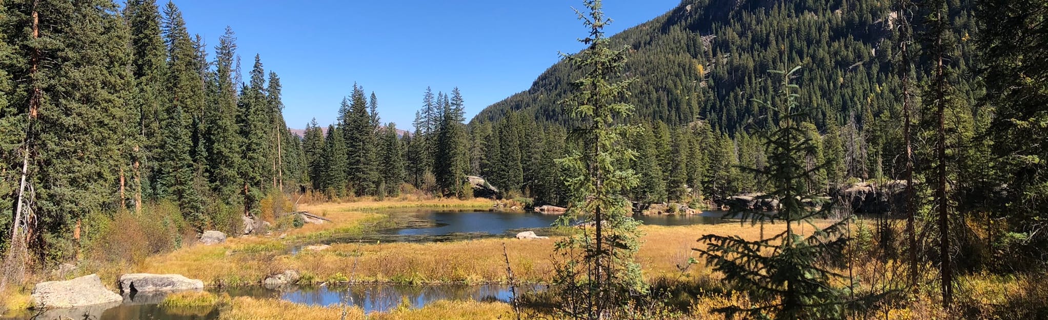 Holy Cross Wilderness Loop, Colorado 33 Reviews, Map AllTrails