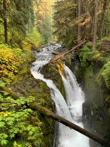 Backpack - Olympic Hot Springs — The Mountaineers