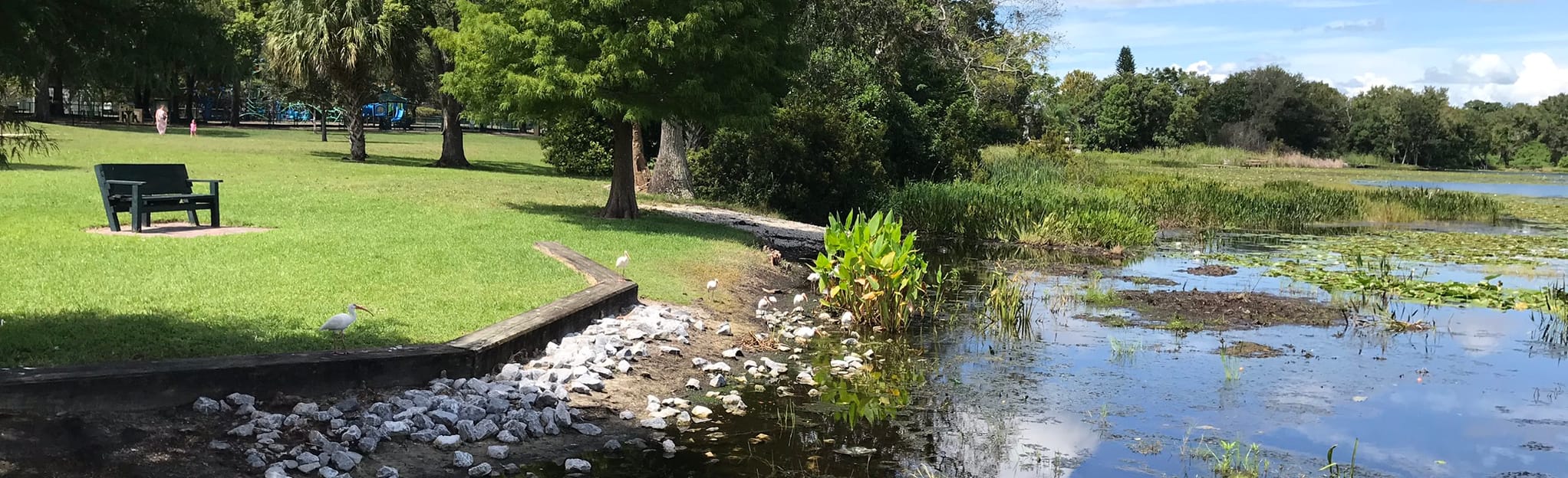 Red Bug Lake Trail 44 Fotos Florida Wandern AllTrails
