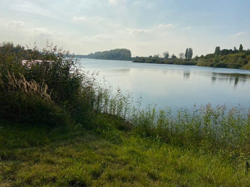 Magdeburg Neustädter See Runde
