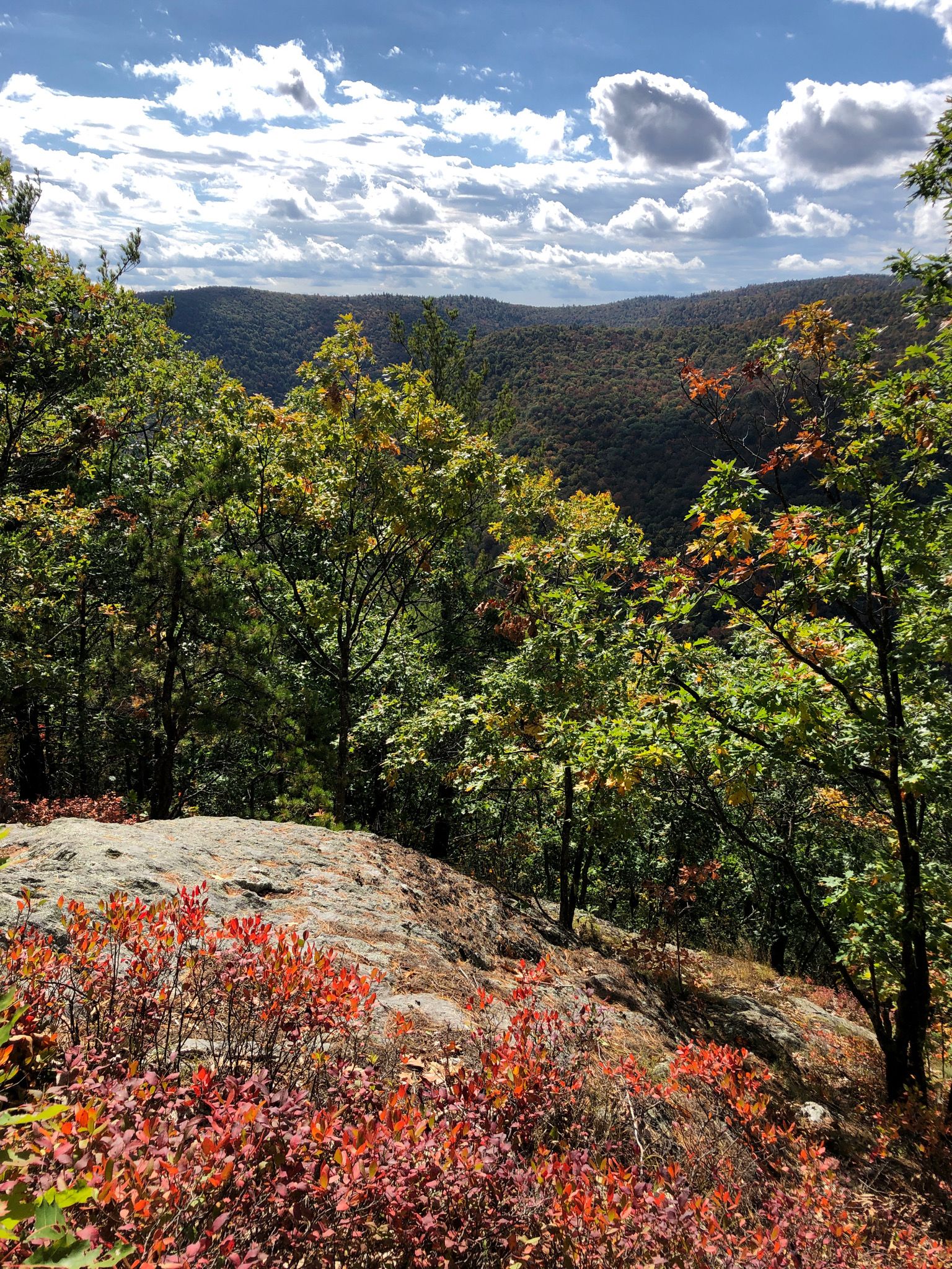 Photos of Mohawk Trail State Forest Campground Massachusetts