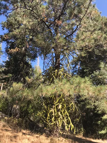 High Desert Adventures: 5 Beautiful Hiking Trails in Lakeview – Oregon