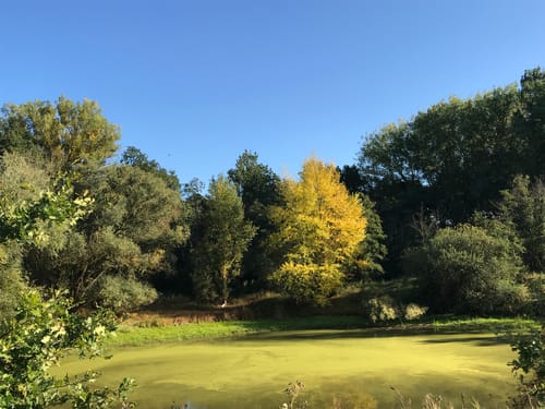 Gartower See und Elbe Rundweg