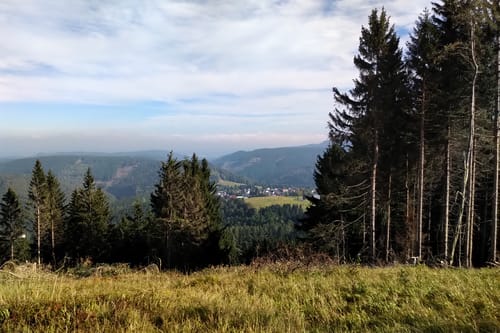 Rund um den Brand ab Güldene Brücke