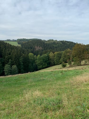 Floßmühle, Fuchsturm & Schwarzmühle