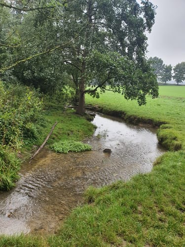 Gerresheim: Rotthäuser Bachtal