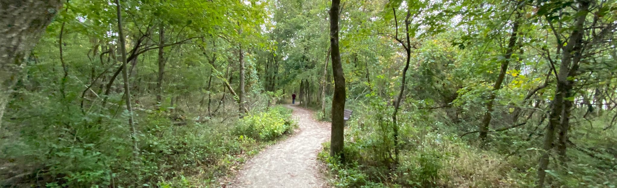Spring Branch Trail, Missouri - 316 Reviews, Map | AllTrails