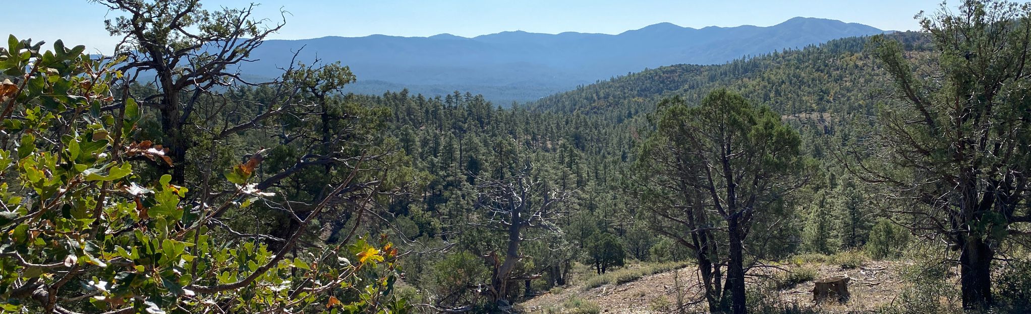 Thumb Butte to East Copper Spring, Arizona - 10 Reviews, Map | AllTrails