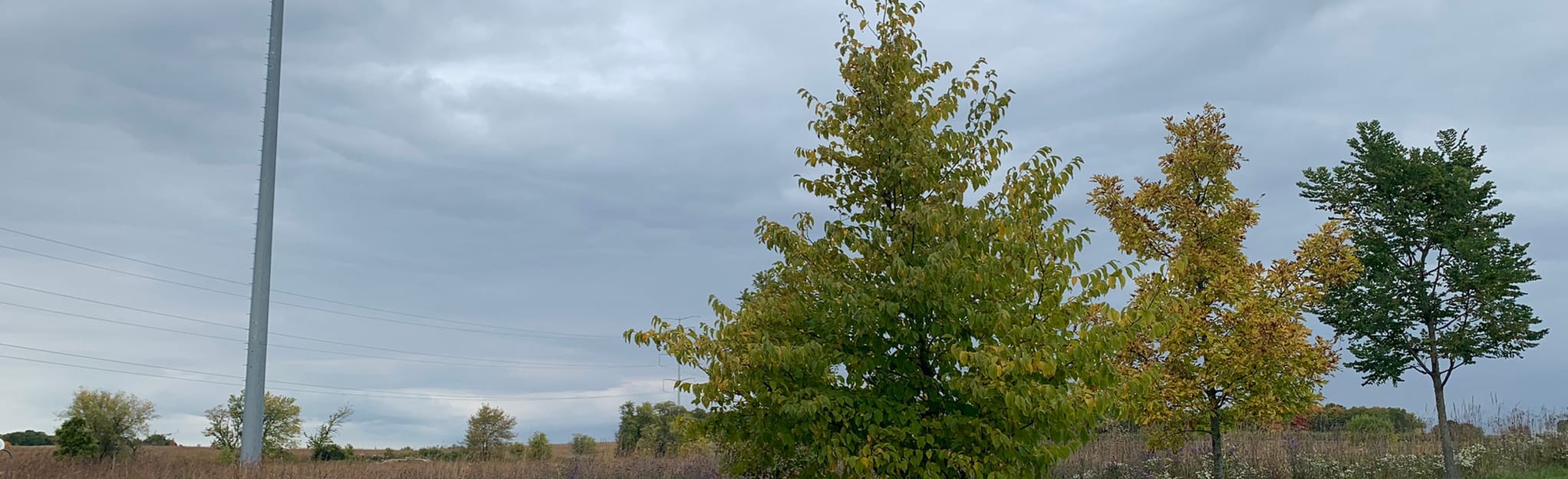 Mequon Preserve Trail 28 foto's Wisconsin AllTrails
