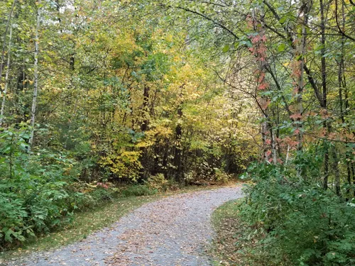 Best Hikes and Trails in Village Park | AllTrails