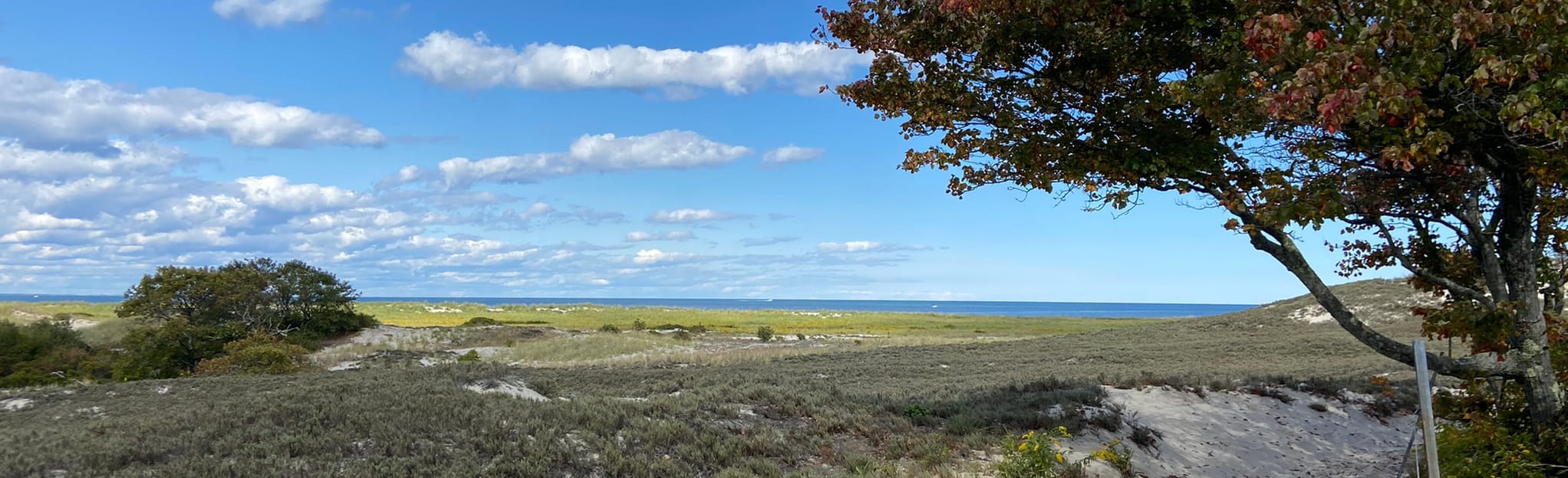 Crane Beach Loop Massachusetts AllTrails