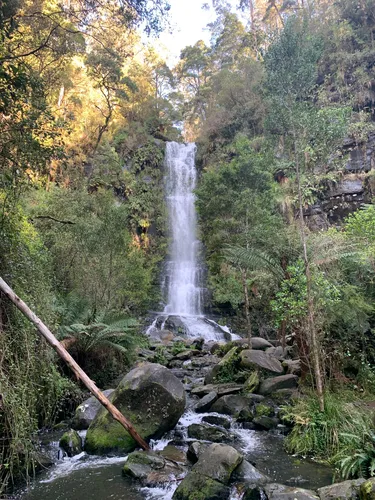10 Best Hikes and Trails in Great Otway National Park | AllTrails