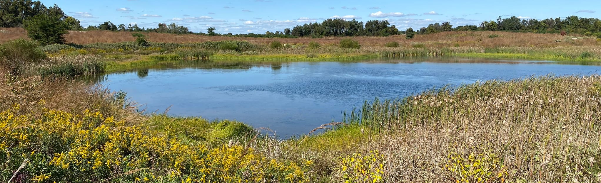 Turkey Hill Trail 1397 Reviews, Map Pennsylvania AllTrails