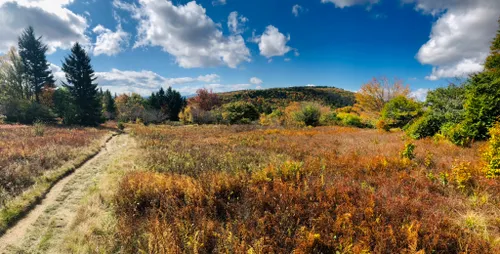 Best hikes outlet in dolly sods