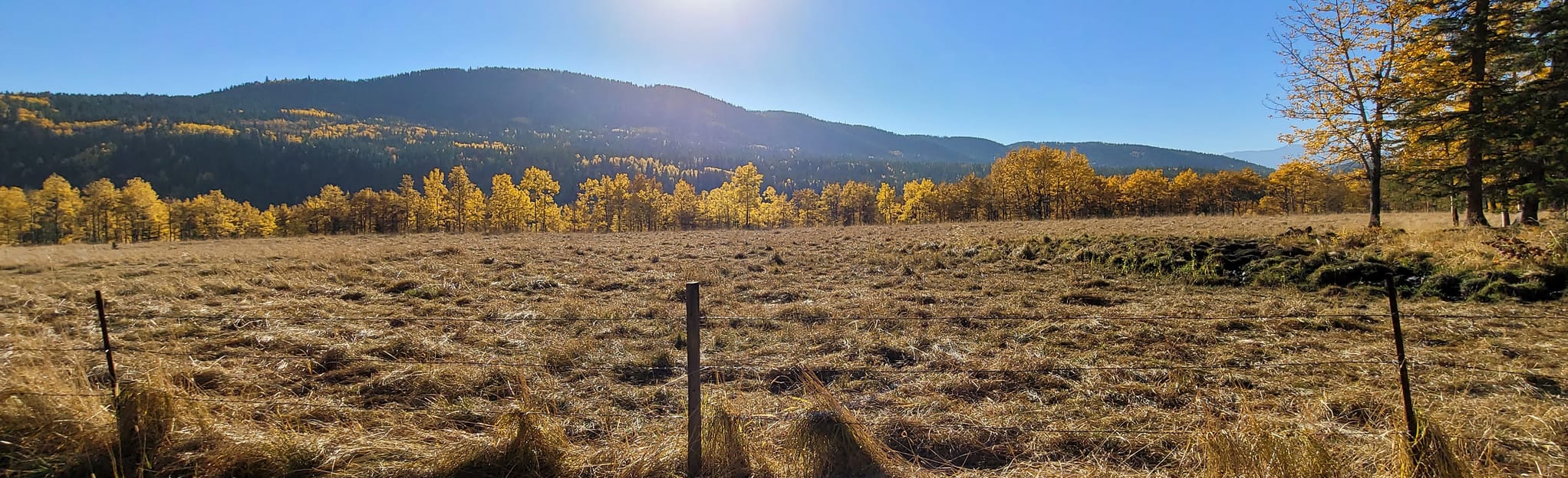 West Sandy McNabb Loop, Alberta, Canada - 69 Reviews, Map | AllTrails
