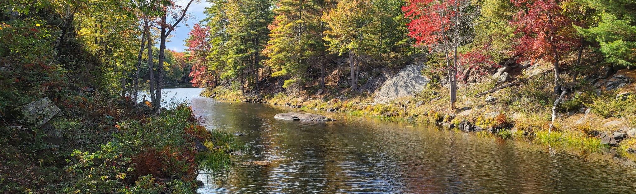 Depot Lakes Trail, Ontario, Canada 27 Reviews, Map AllTrails
