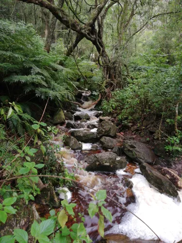 10 Best Trails and Hikes in George | AllTrails