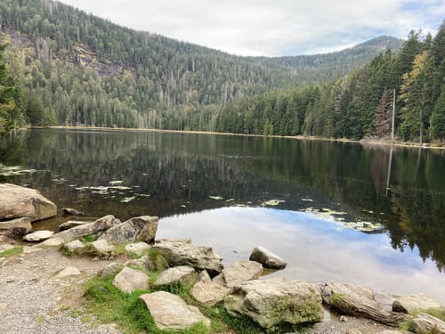 Großer Arbersee Rundweg