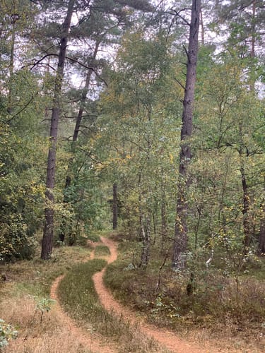 Naturistenweg Underloh
