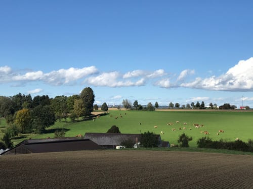Von Senden zum Schloss Reutti