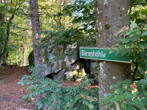 Hirschenstein Berglauf