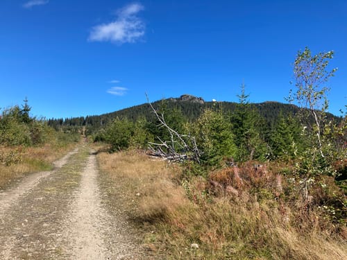 Wanderweg 1: Bodenmais - Mittagsplatzl - Großer Arber