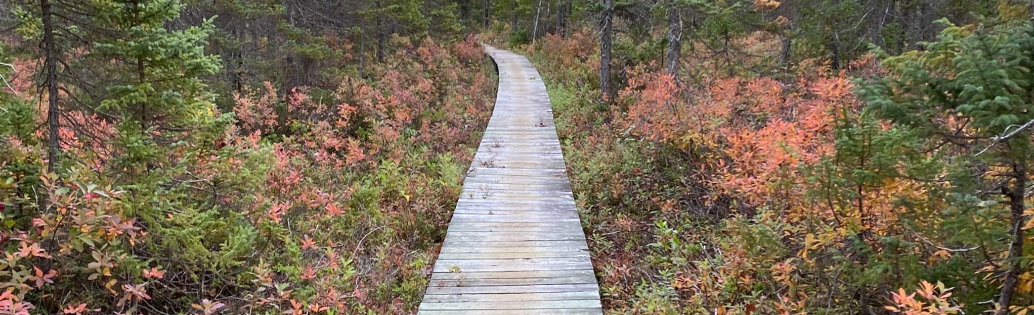 AllTrails Major Kollock Creek Trail via Canoe Launch 24 Reviews, Map