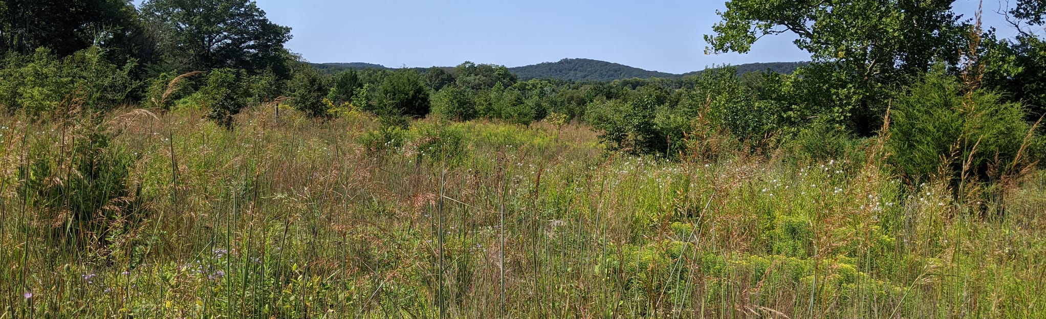 Gilbert’s Corner Regional Park Loop Virginia AllTrails