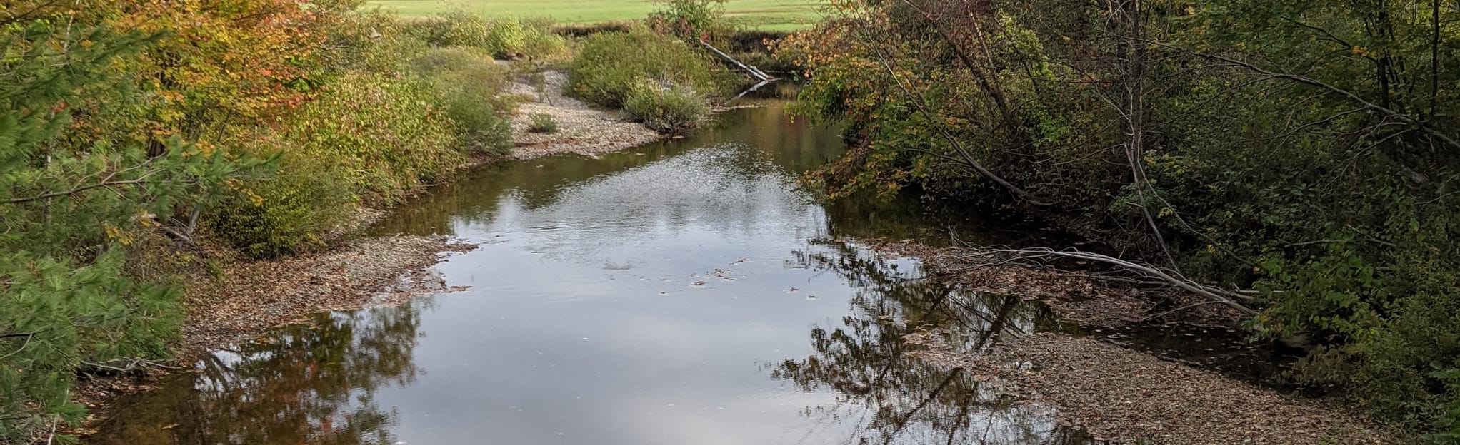 Bald Knob and Mount Crosby via Bald Knob Trail New Hampshire AllTrails