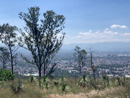 2023 Beste Routen in der Umgebung von Cerro Los Gachupines AllTrails