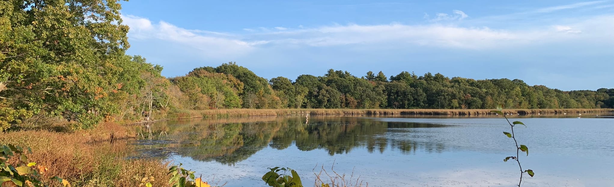 Cutler Park Blue Heron Trail: 835 foto's - Massachusetts  AllTrails